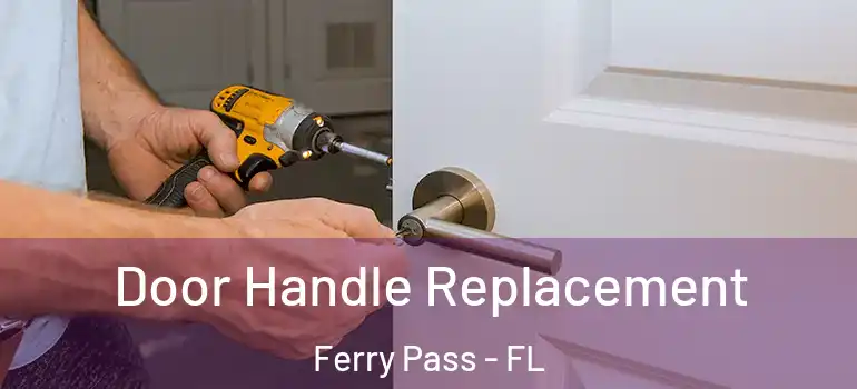 Door Handle Replacement Ferry Pass - FL
