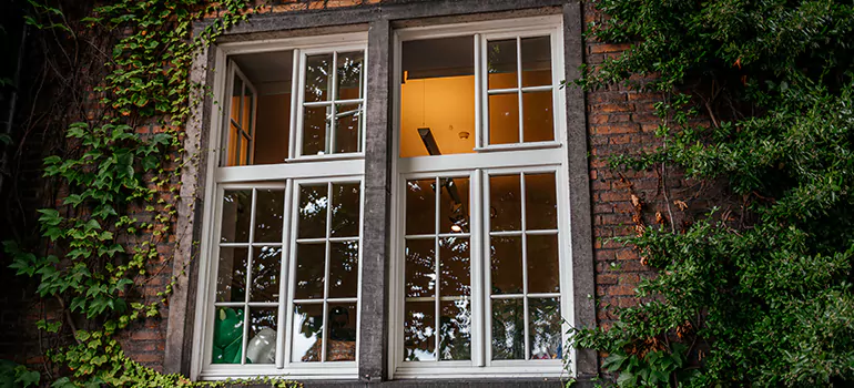 Energy Efficient Wood Windows in Ferry Pass, FL